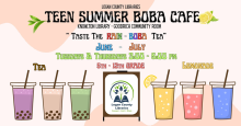 Teen Summer Boba Cafe